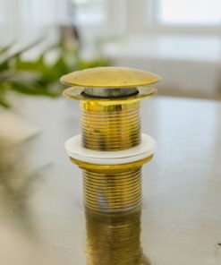 brass push up button